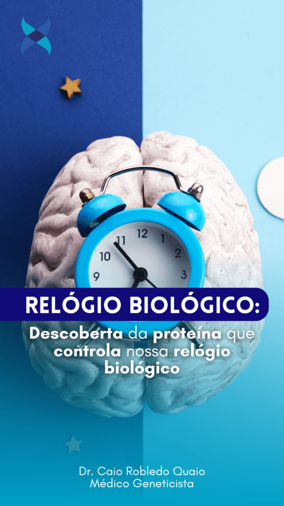Descoberta da proteína que controla nossa relógio biológico