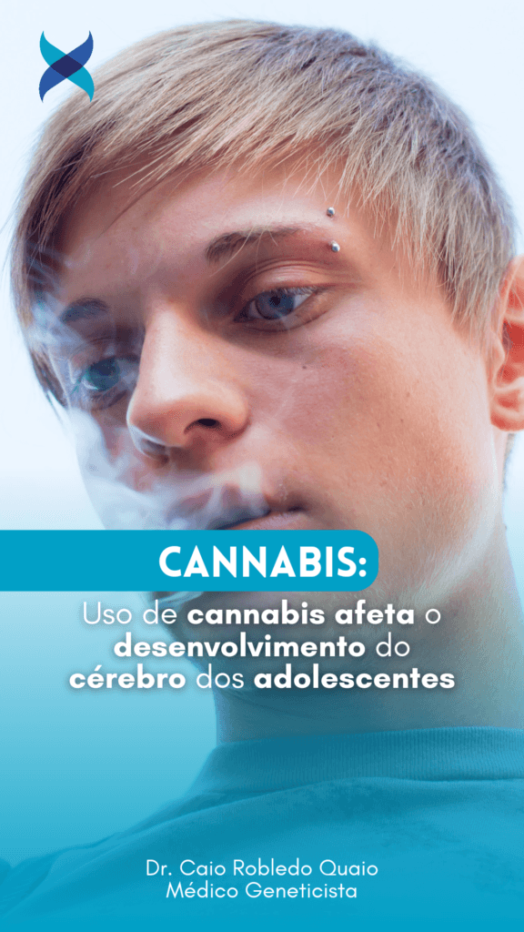 Uso de cannabis afeta o desenvolvimento do cérebro dos adolescentes