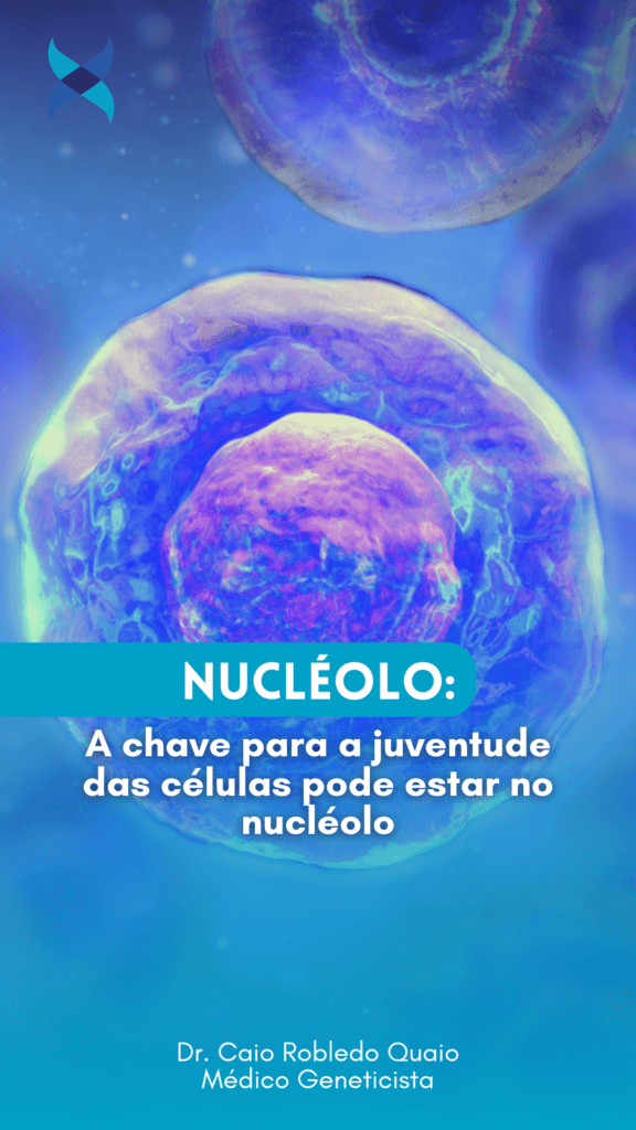 A chave para a juventude das células pode estar no nucléolo