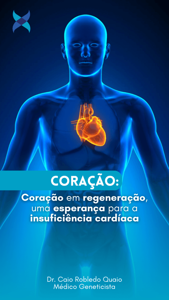 Coração em regeneração: uma esperança para a insuficiência cardíaca