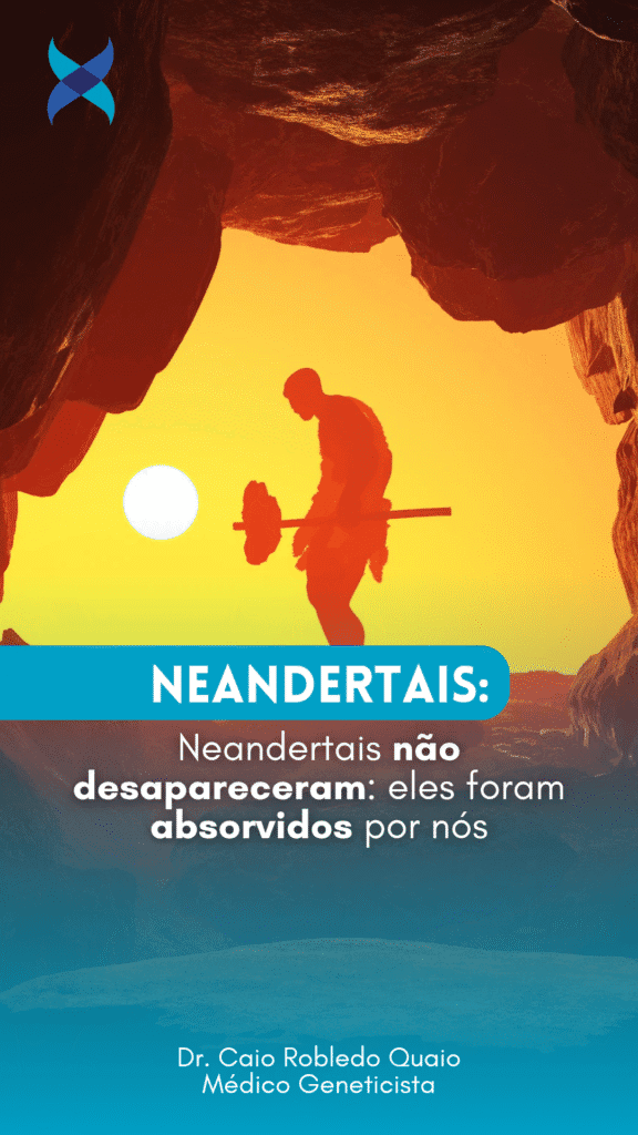 Neandertais não desapareceram: eles foram absorvidos por nós