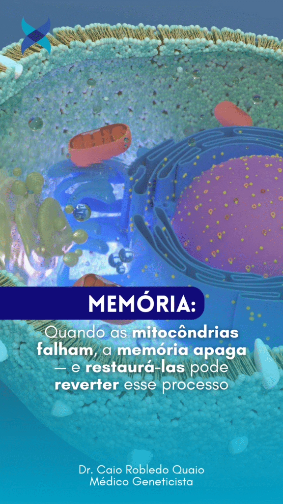 Quando as mitocôndrias falham, a memória apaga — e restaurá-las pode reverter esse processo