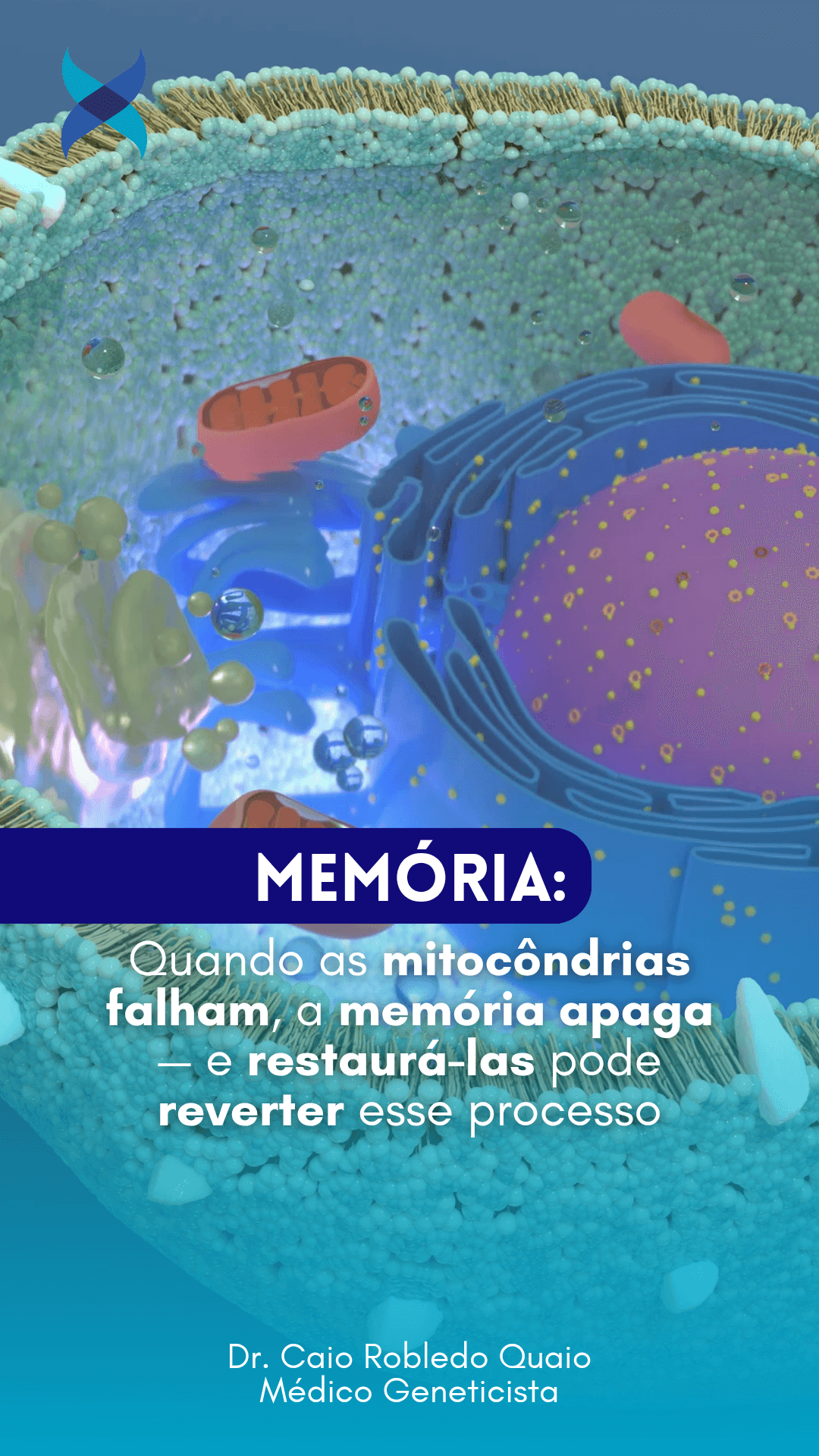 Estimular mitocôndrias no cérebro e recuperação de memória em modelos de neurodegeneração.