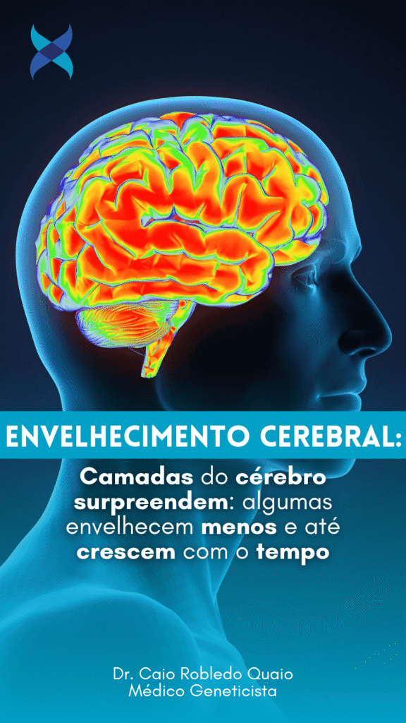 Camadas do córtex somatossensorial e envelhecimento: plasticidade e espessura cortical