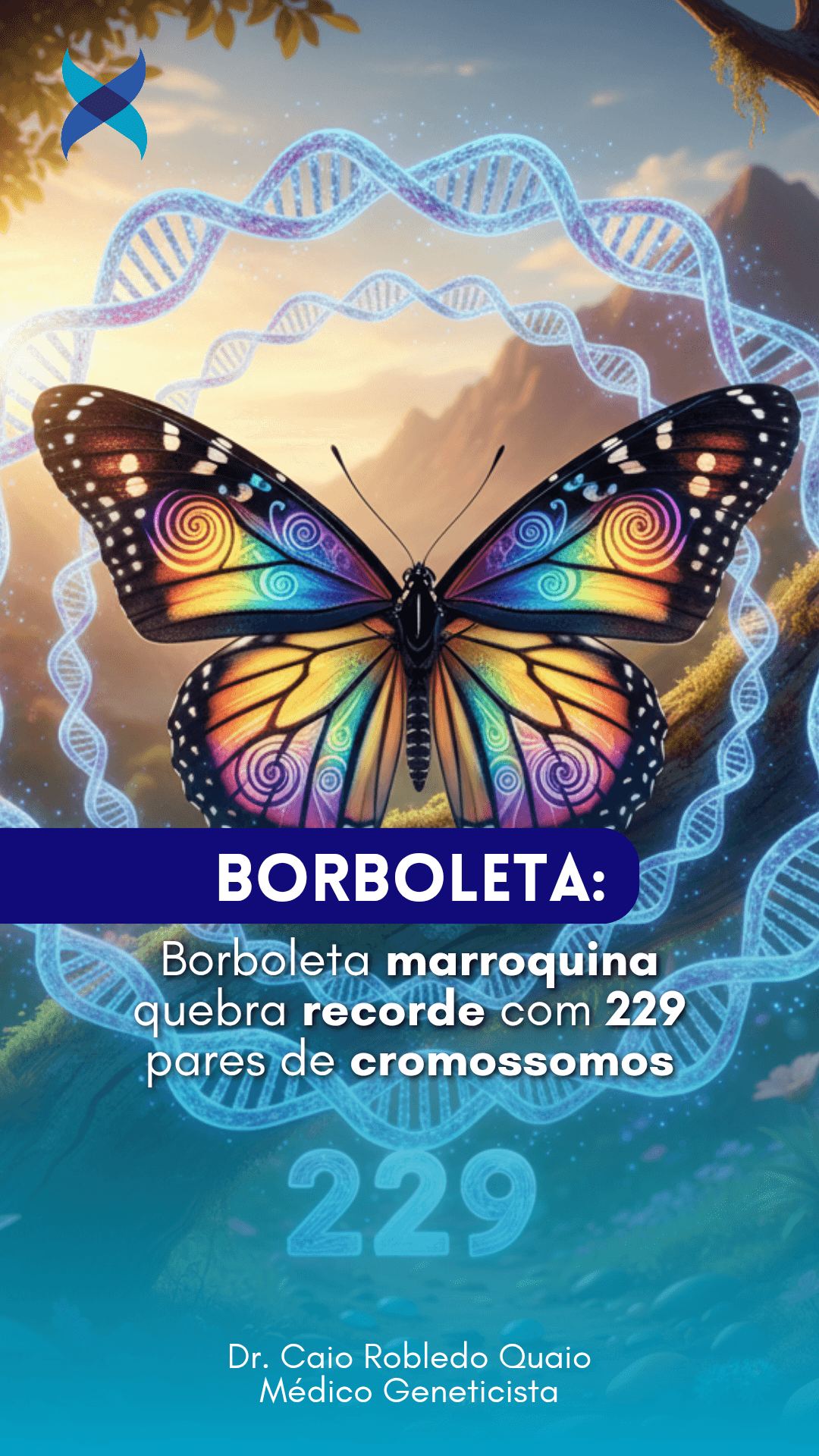 Polyommatus atlantica: borboleta azul do Atlas com 229 pares de cromossomos
