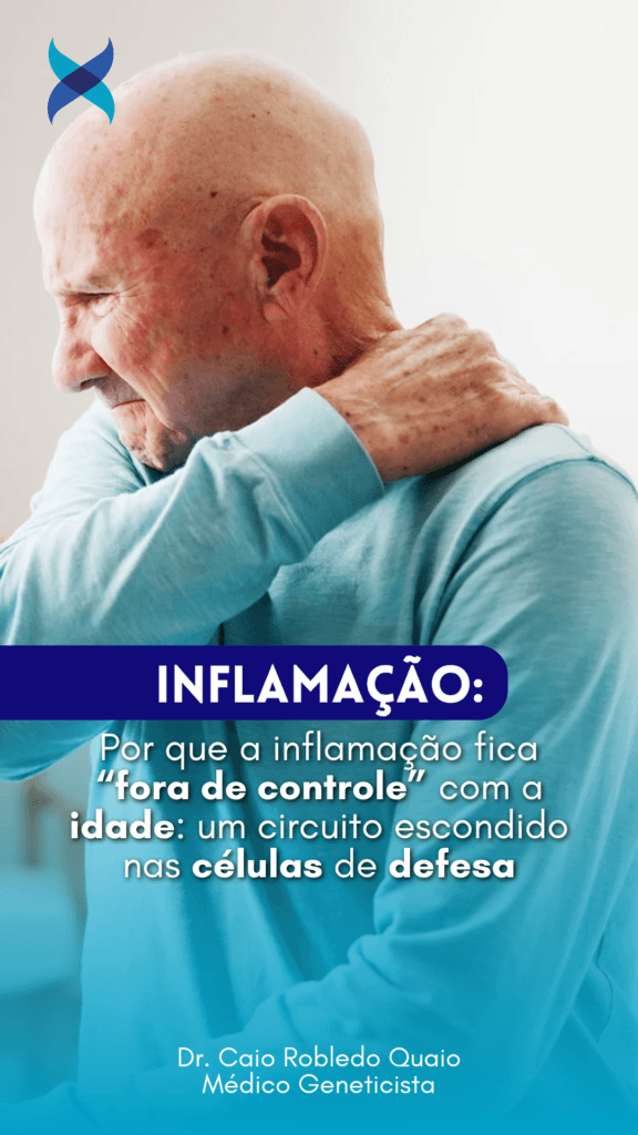 Por que a inflamação fica “fora de controle” com a idade: um circuito escondido nas células de defesa