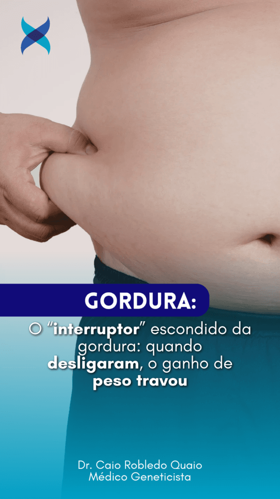 O “interruptor” escondido da gordura: quando desligaram, o ganho de peso travou