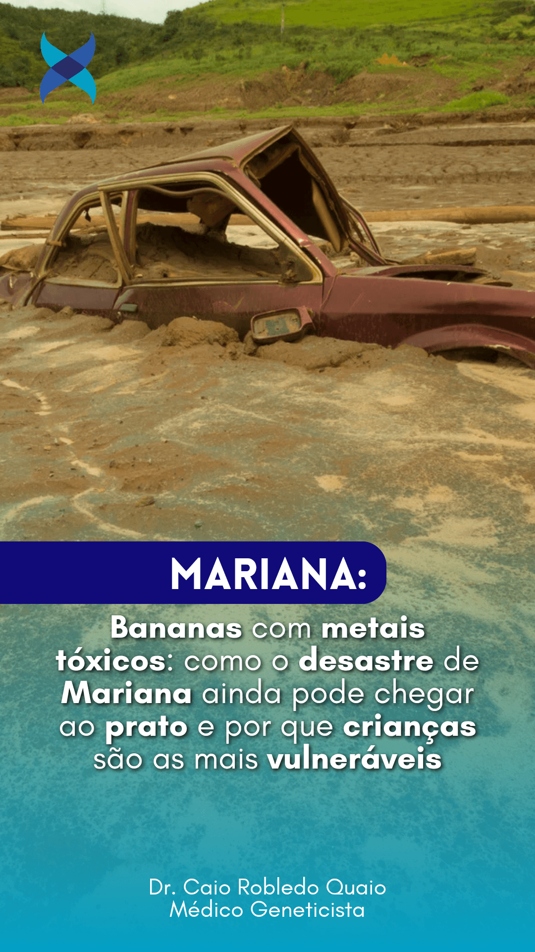 desastre de Mariana e metais pesados – risco em bananas e alimentos do Rio Doce.