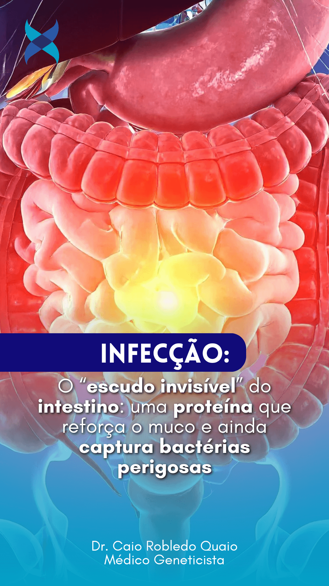 proteína do muco intestinal reforça a barreira e prende bactérias.