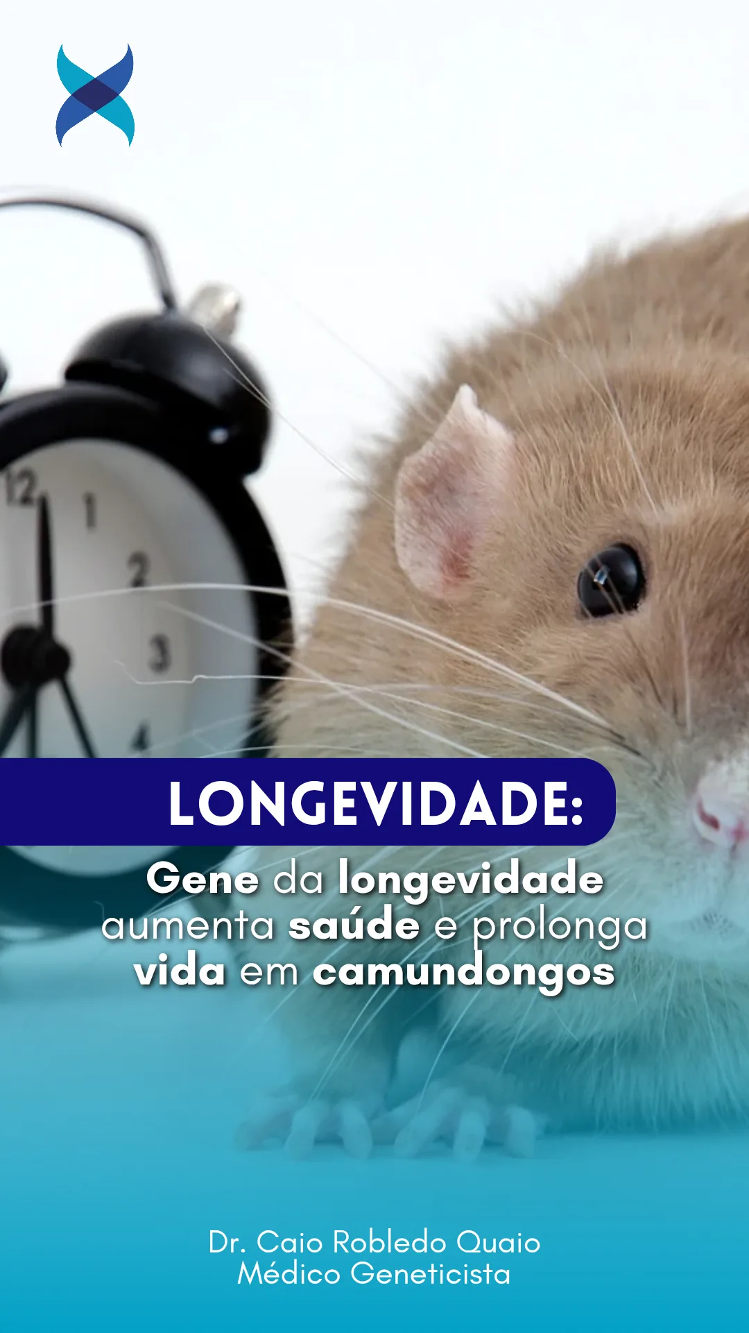 gene da longevidade transferido do rato-toupeira-pelado para camundongos
