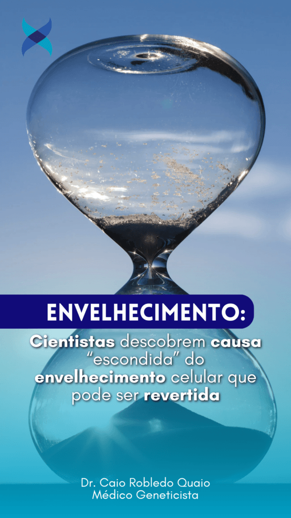fosfatidilcolina e envelhecimento celular com impacto nas mitocôndrias