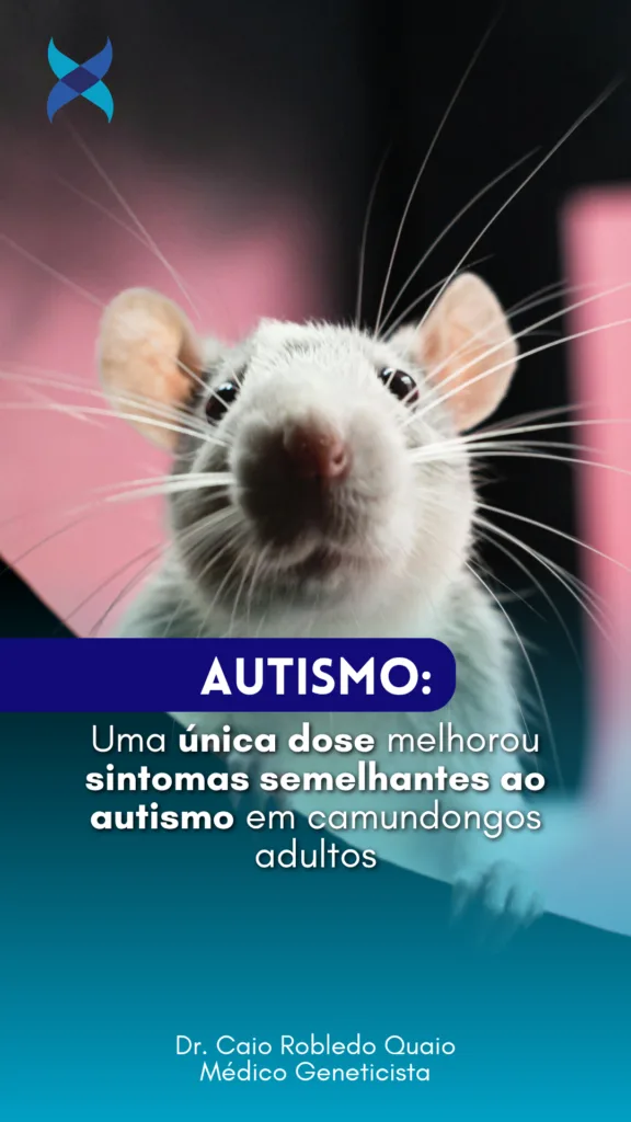 Rapamicina e autismo: dose única melhorou alterações cerebrais em camundongos adultos