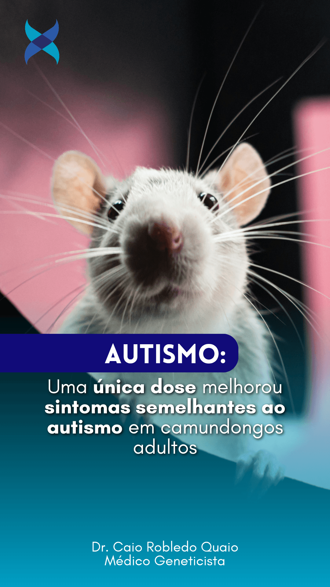 Rapamicina e autismo em estudo experimental com camundongos adultos