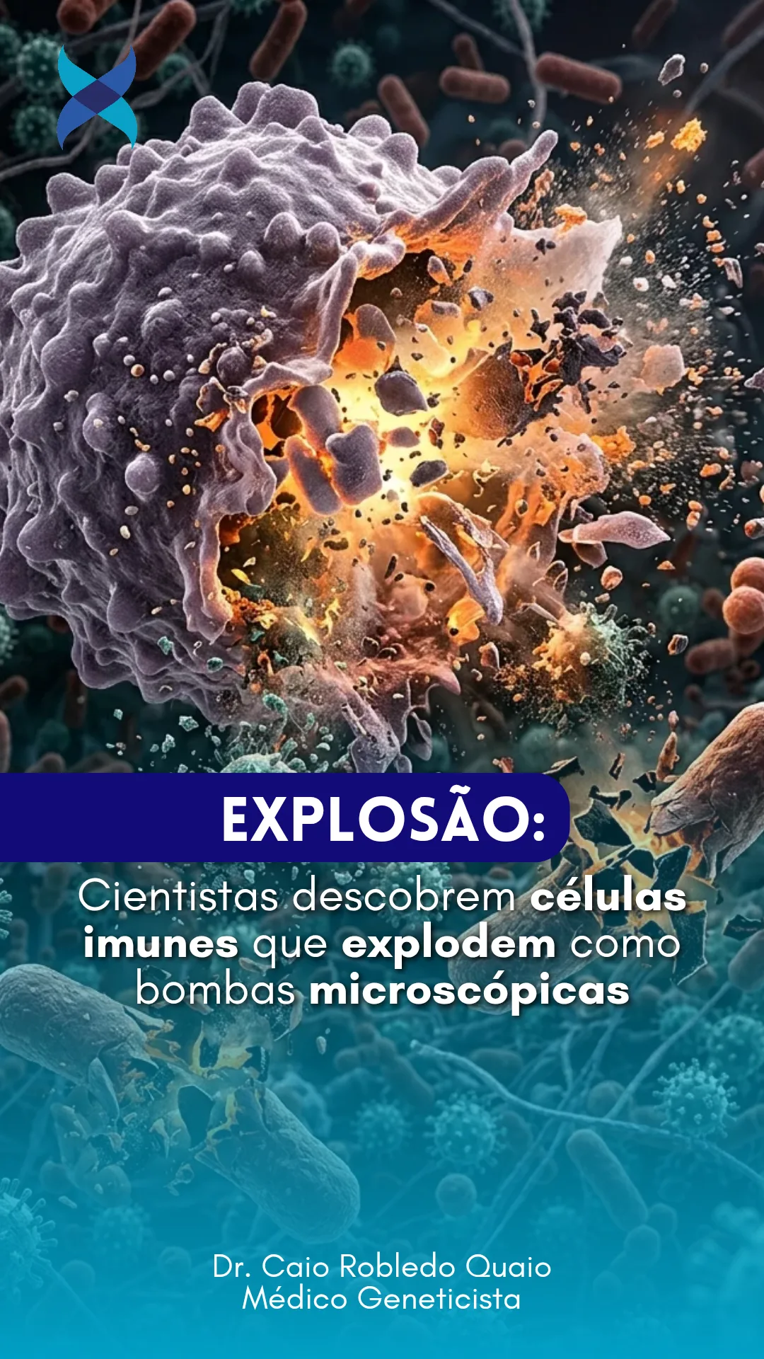 Ruptoblastos em planárias e nova forma explosiva de morte celular chamada ruptose