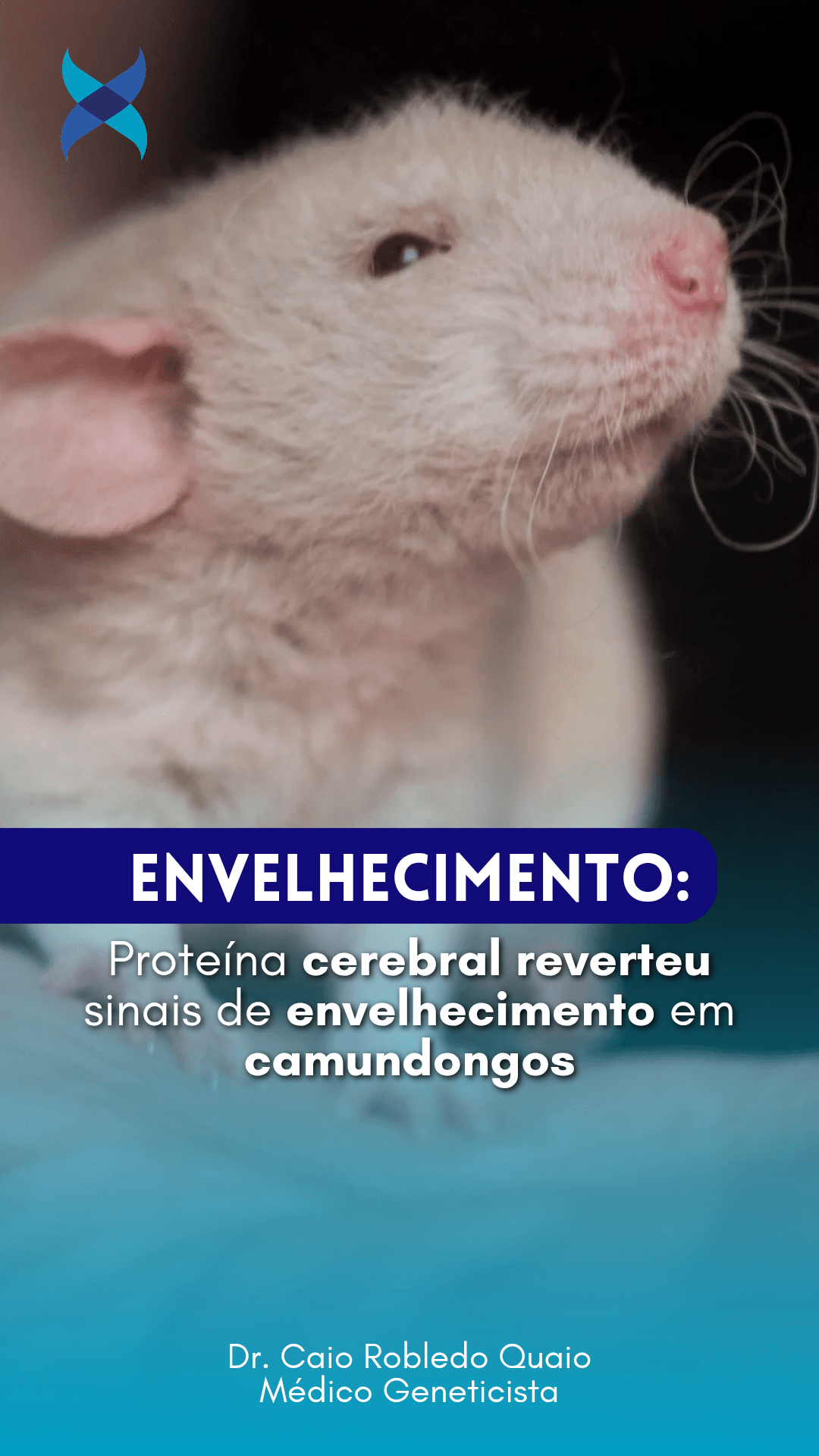 Menin no hipotálamo e envelhecimento: estudo experimental em camundongos